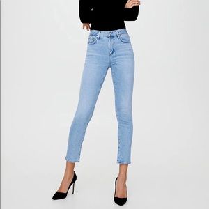 Agolde Toni Straight Leg Jeans in Light Denim